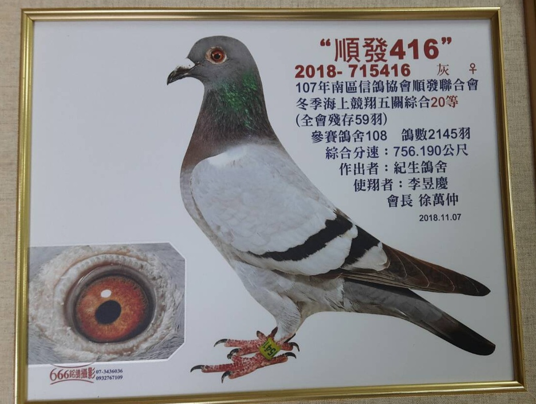 善济医社大爱川流不息 与南大合作设立 100万助学金 南洋